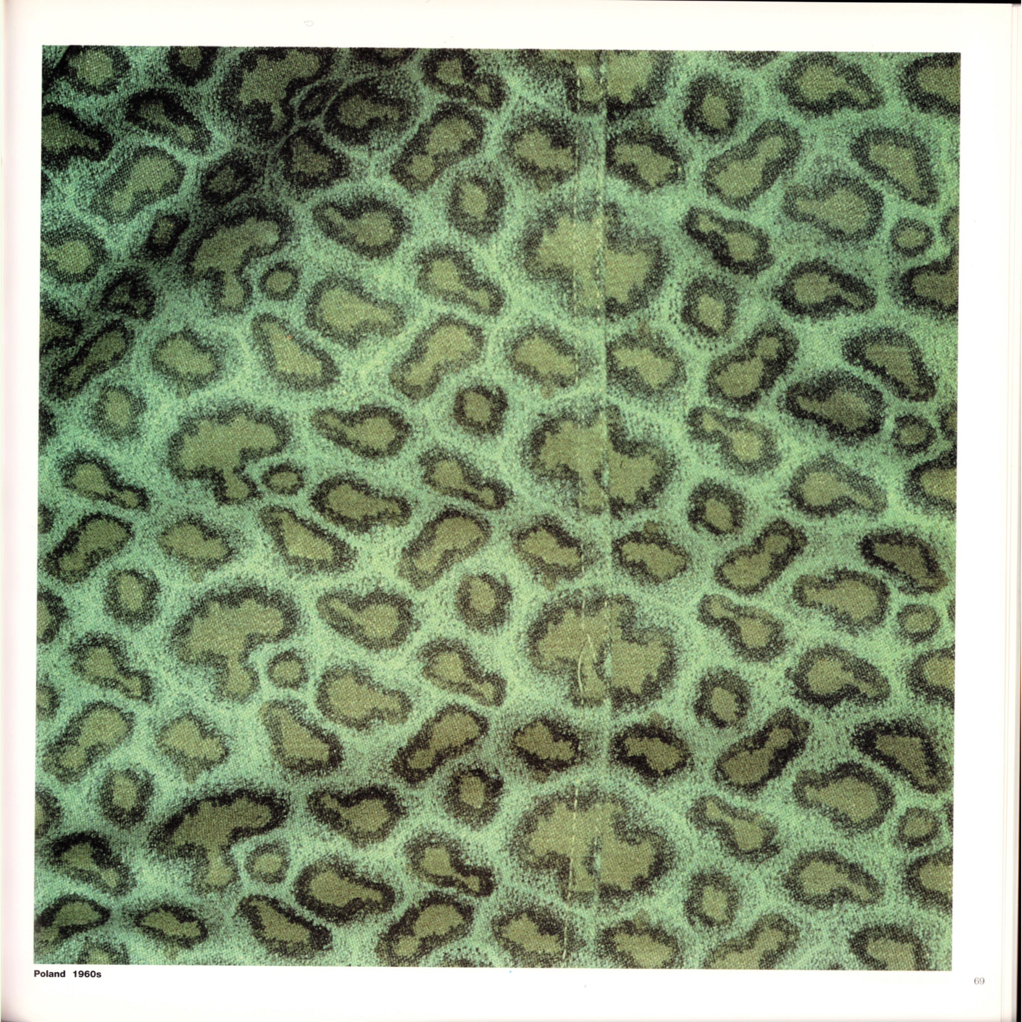 Brassey's Book of Camouflage